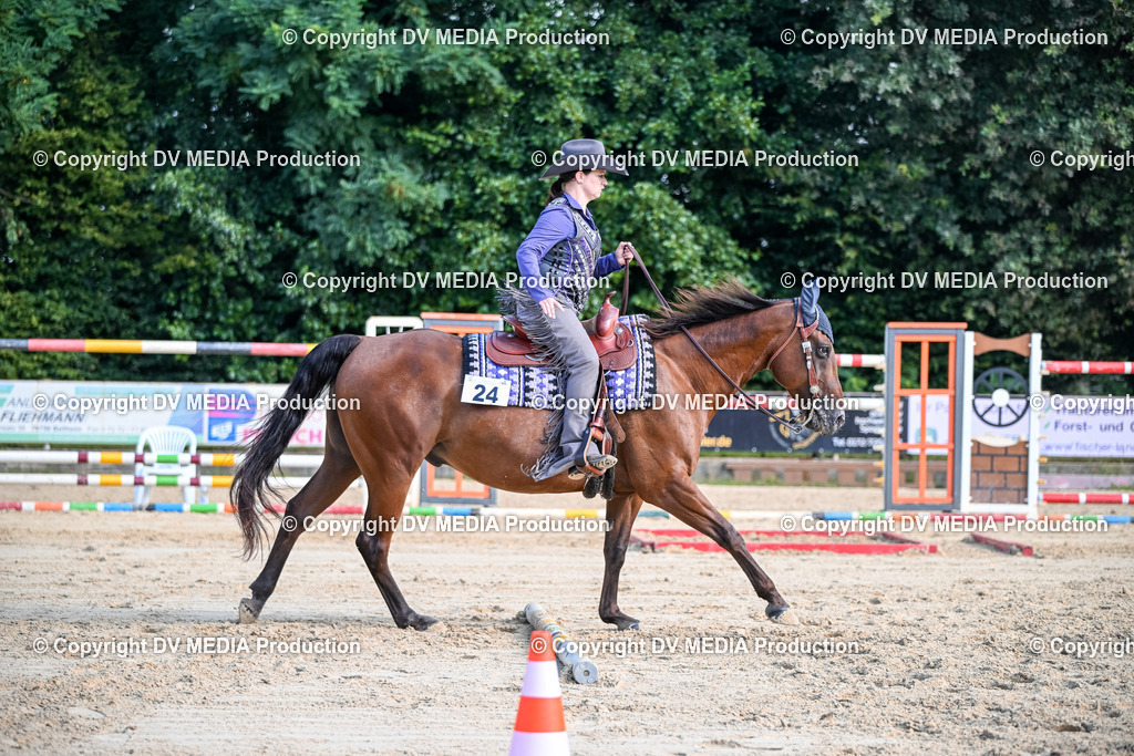 ZS2_3436 | dv-media-shop - Realisiert mit Pictrs.com