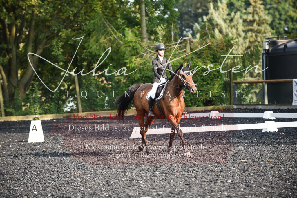 DSC_3468 | Pferde- und Turnierfotografie in Westsachsen. Pferdeportraits, Auftragszeichnungen und intuitive Kunst.