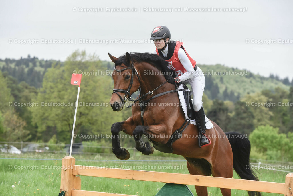 20230513_CCI2_Section1_0316 | equistock