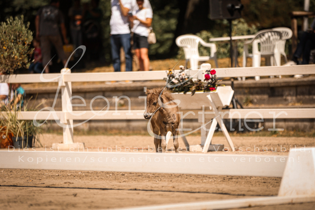 01.DoKR00115 | Leoni Ertmer Photography - Realisiert mit Pictrs.com