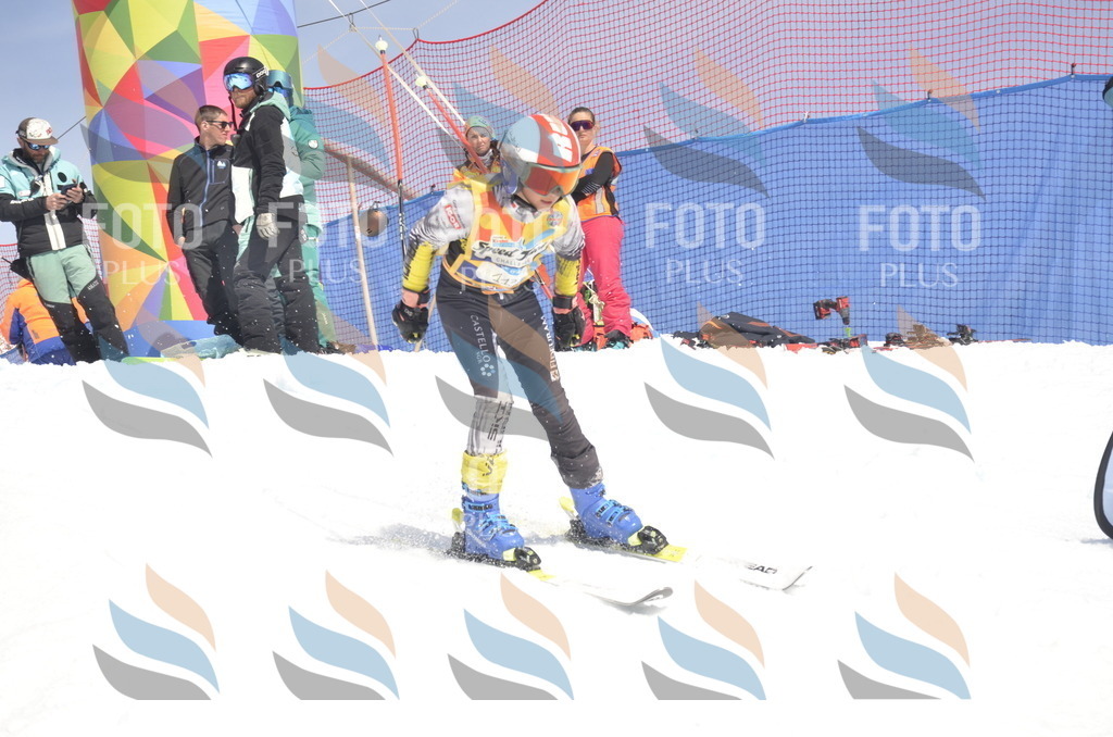 _ELE9497 | holidayphoto