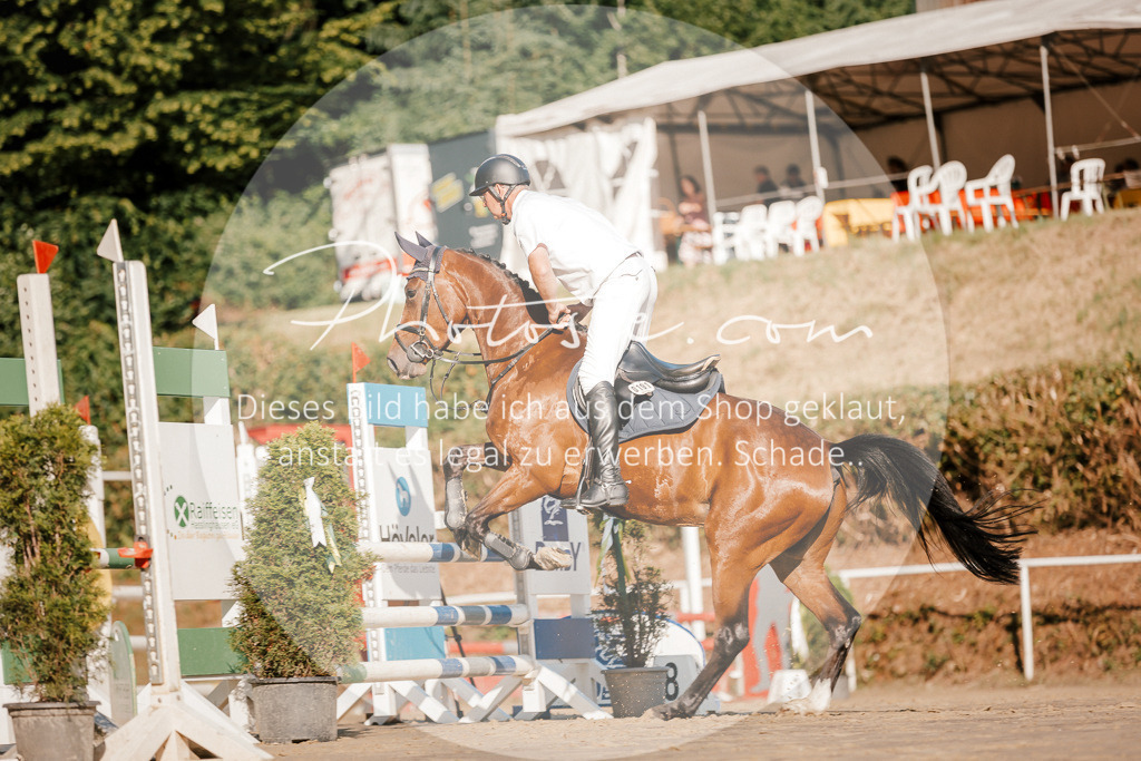 3I6A6204 | Stimmungsvolle Portraits und Reitsportfotografie im Ruhrgebiet und im Münsterland.

Pferdefotografie, Hundefotografie, Tierfotografie, Reportagen, Portraits von Tier und Mensch, Turnierfotografie in Bochum, Recklinghausen, Marl, Haltern am See, Dülmen.. - Realisiert mit Pictrs.com
