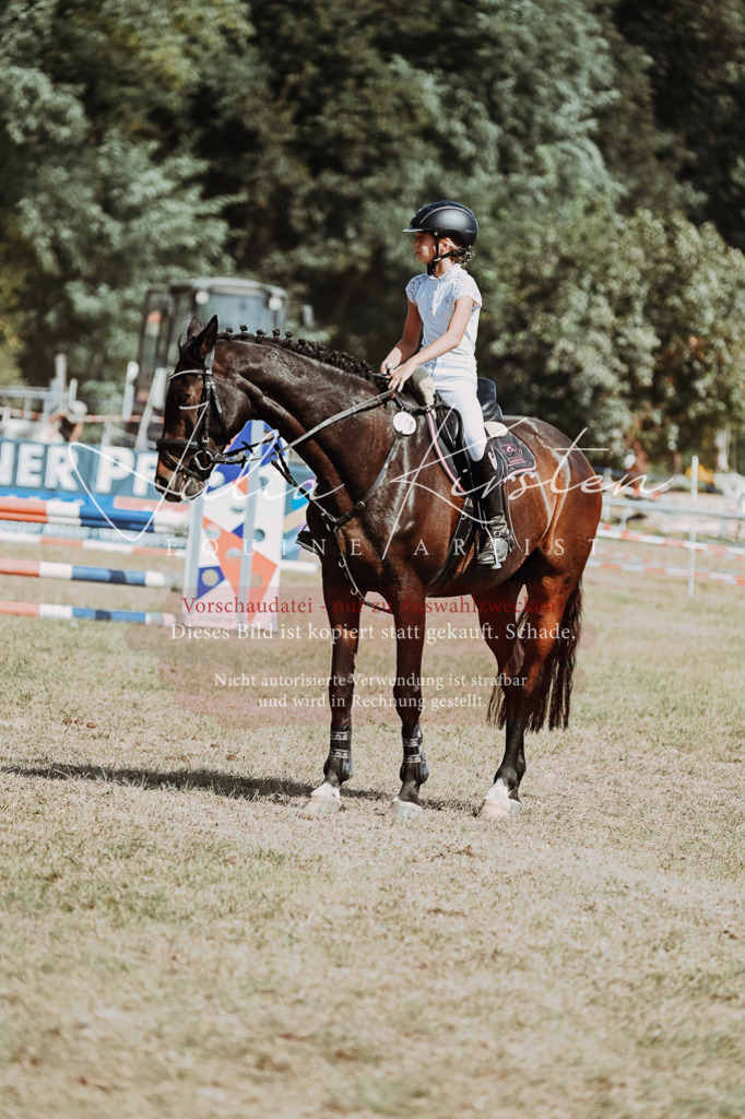 DSC_9826 | Pferde- und Turnierfotografie in Westsachsen. Pferdeportraits, Auftragszeichnungen und intuitive Kunst.