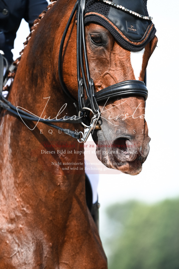 DSC_3212 | Pferde- und Turnierfotografie in Westsachsen. Pferdeportraits, Auftragszeichnungen und intuitive Kunst.