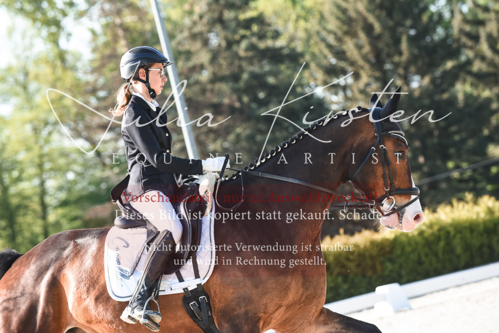 20230518_JK-Röhrsdorf-09-0474 | Pferde- und Turnierfotografie in Westsachsen. Pferdeportraits, Auftragszeichnungen und intuitive Kunst.