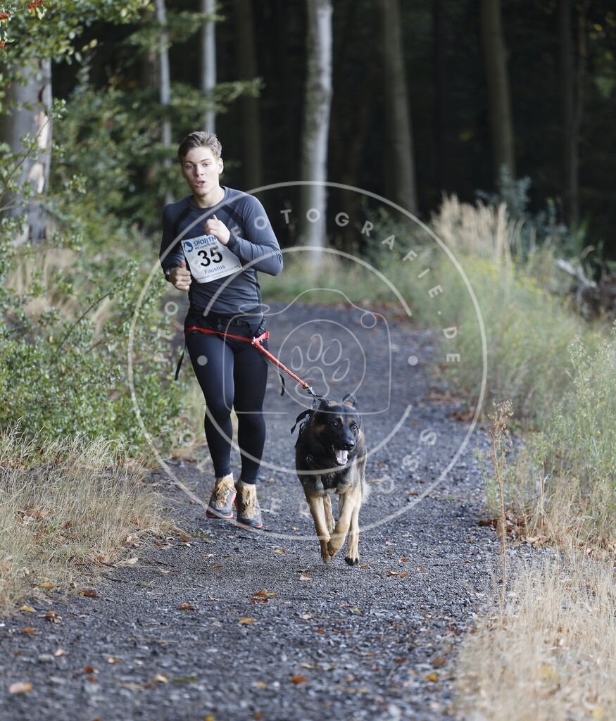 0L8A1596 | Hundefotografie, Tierfotograf, Pfotenfotografie, Fotoshooting Hund, Hunde Portrait, Hundesport, Hundeportraits, Heideshooting, Hunde, Sportfotograf, Hundefotograf, Turnierhundsport, THS,  - Realisiert mit Pictrs.com