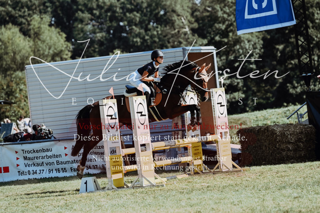 DSC_6565 | Pferde- und Turnierfotografie in Westsachsen. Pferdeportraits, Auftragszeichnungen und intuitive Kunst.