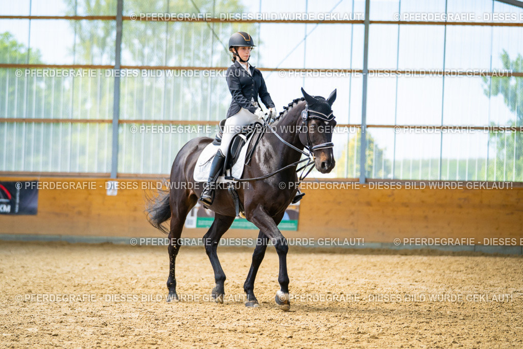 DSC09432 | Pferdegrafie