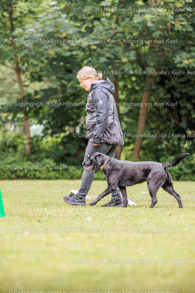 RO-Blumenthal-2026-Nickbest-Hundefotografie-5098 | Dein Hund! Dein Moment! Deine Erinnerungen! Hundefotografie in Bremen Blumenthal. Ich fange die besonderen Momente deines Vierbeiners ein – ob Indoor mit Blitzanlage oder in der freien Natur. Sicher dir dein Moment und dein Termin für eure Erinnerungen.