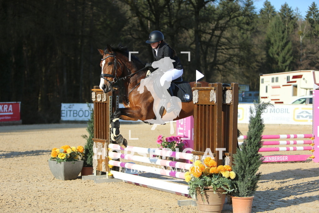 DL2Q1868 | Willkommen bei Brunnmayr - Design & Fotografie – Ihrem Spezialisten für Reitturniere und Pferdeveranstaltungen in Oberösterreich, Salzburg und Bayern! Seit über 17 Jahren sind wir leidenschaftlich dabei.