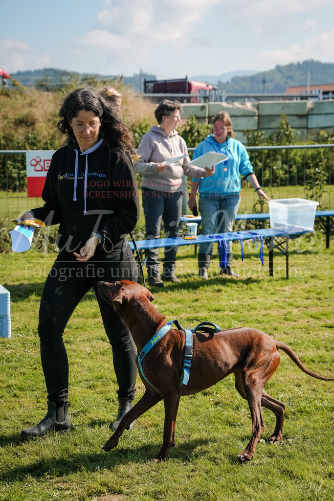 20250928_Hunderennen-765 | MuT (Mensch und Tier) mit Mona - Fotografie und Tierkommunikation - Realisiert mit Pictrs.com