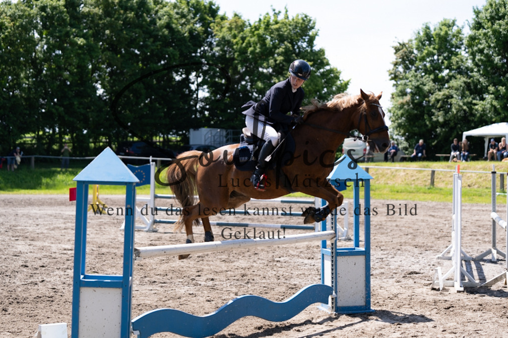 A7V04333 | Pferdefotograf