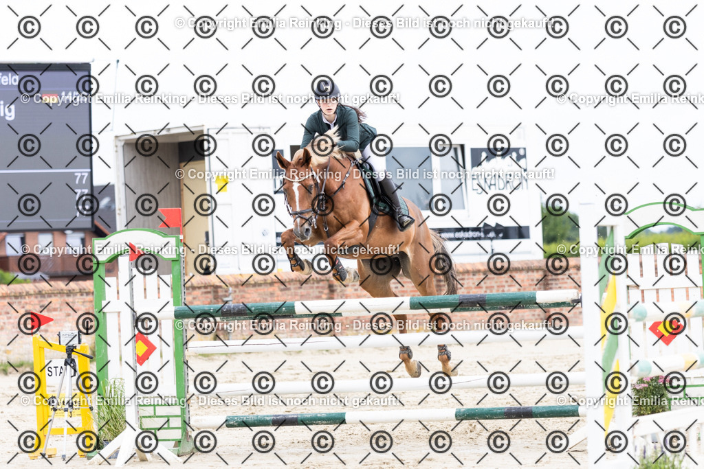 CL5A5613 | Emilia Reinking Fotografie - Realisiert mit Pictrs.com