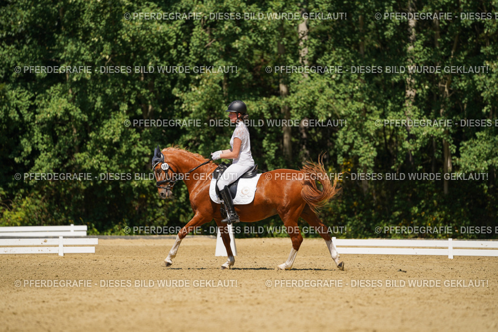 DSC05521 | Pferdegrafie