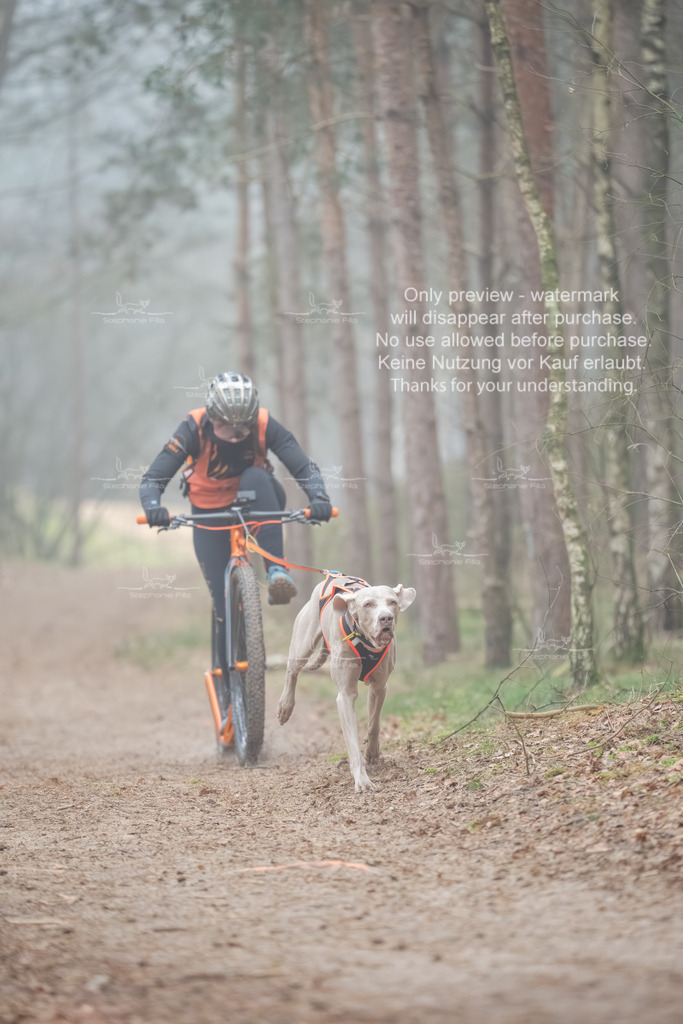 Scooter1-125 | stephaniefillaphotographie - Realisiert mit Pictrs.com