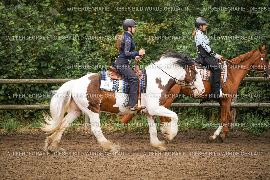 DSC01988 | Pferdegrafie