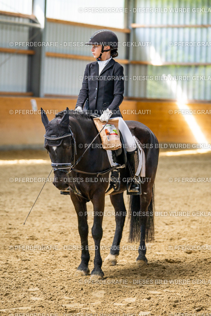 DSC02748 | Pferdegrafie