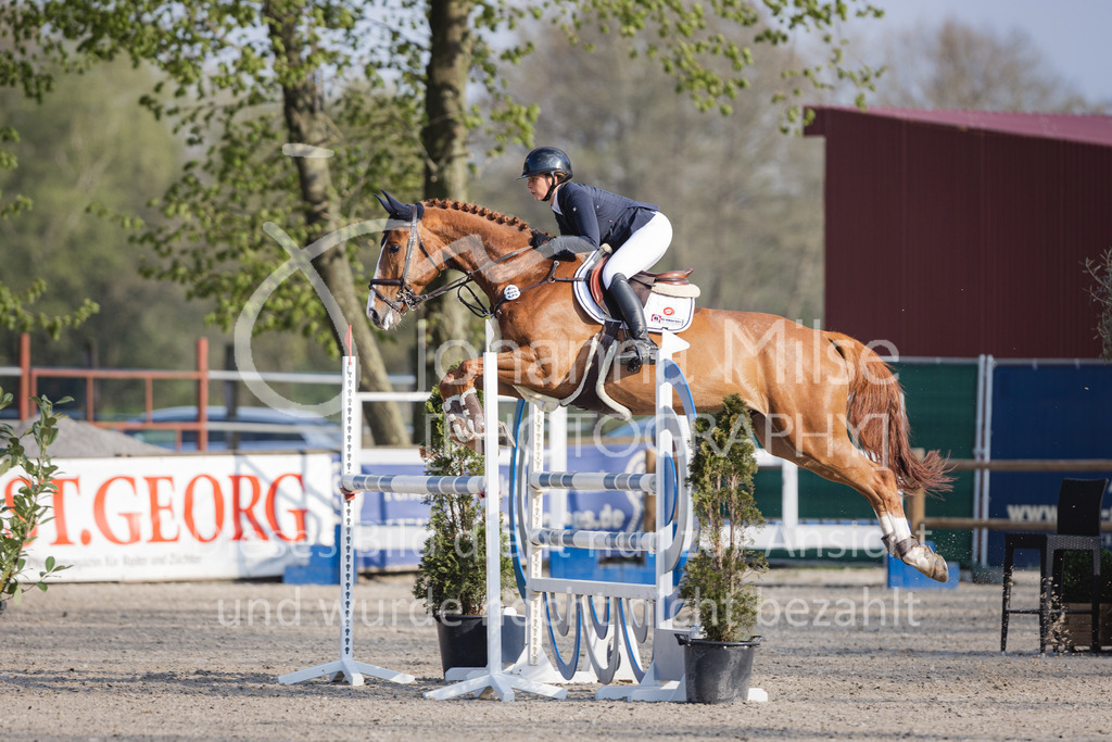 220426_Mühlen_05SprgPf-M-564 | Mühlen Late Entry
26.04.2022
05 Springpferdeprüfung Kl.M* 5-7j.