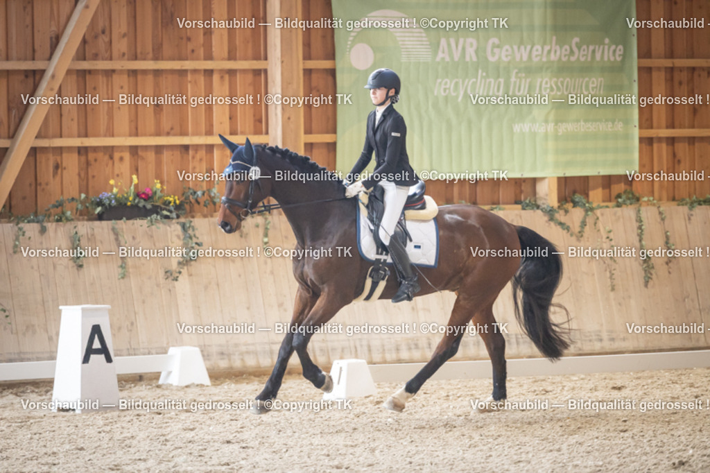 _D5A2250 | Emotionale Pferde- & People-Fotografie rund um Heidelberg, Leimen & Umgebung. Natürliche Fotos von Pferd, Mensch & Familie. Jetzt Termin sichern!