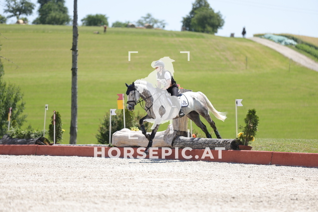 0P6A3807 | Willkommen bei Brunnmayr - Design & Fotografie – Ihrem Spezialisten für Reitturniere und Pferdeveranstaltungen in Oberösterreich, Salzburg und Bayern! Seit über 17 Jahren sind wir leidenschaftlich dabei.