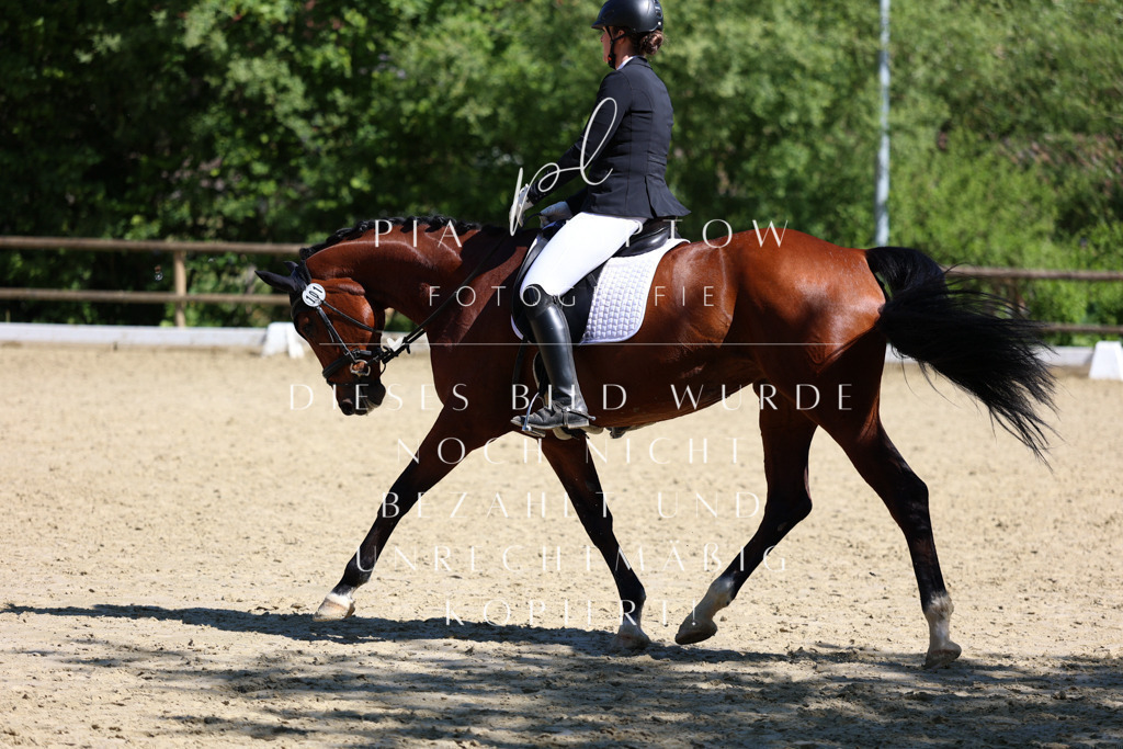 IMGT0658 | pl-fotografie