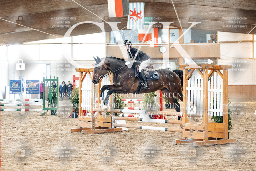 CK903804 | Turnierfotografie Pferdefotografie Trier Rheinland-Pfalz Pferdesport Reitsport Tierfotografie Sportfotografie Pferdevideo Pferdevideografie Equestrianvideography equestrianphotography  - Realized with Pictrs.com