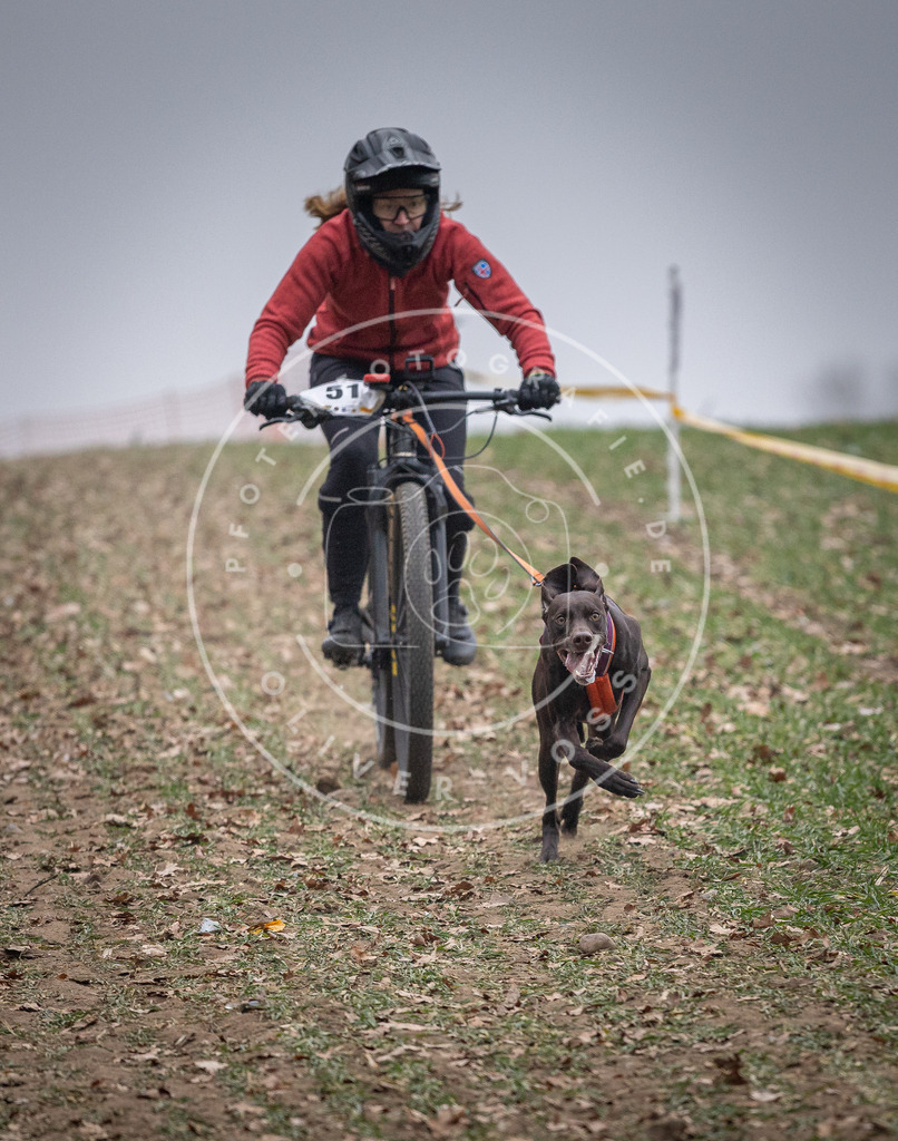 Pfotenfotografie_DV3A1067 | Hundefotografie, Tierfotograf, Pfotenfotografie, Fotoshooting Hund, Hunde Portrait, Hundesport, Hundeportraits, Heideshooting, Hunde, Sportfotograf, Hundefotograf, Turnierhundsport, THS,  - Realisiert mit Pictrs.com