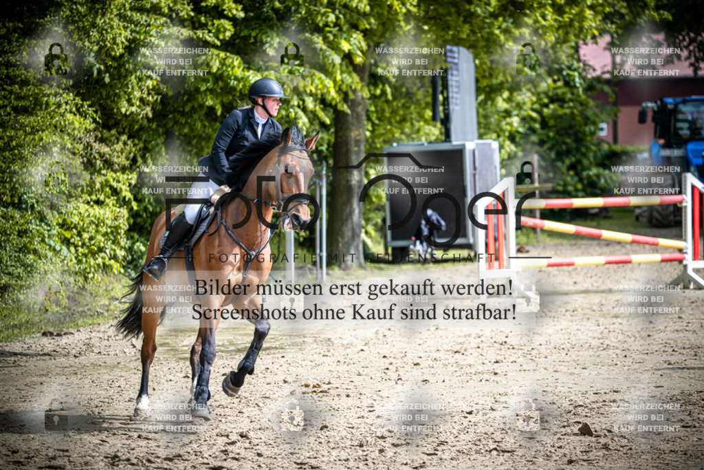 DOS_2085 | Reitturnier Lüdinghausen - Realisiert mit Pictrs.com