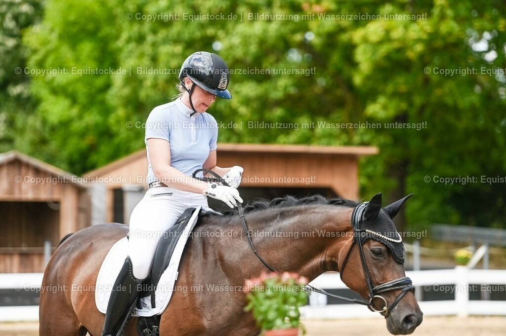 20230715_02_Dressurreiterprüfung Kl.L_0434 | equistock