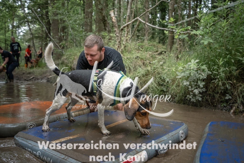 1258_ZZ91826T | kk-dogfotos