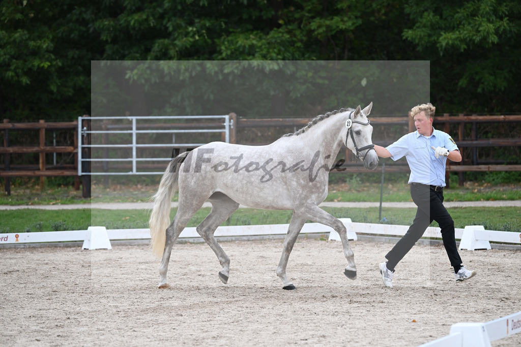 Kat-Nr. 23 Zaide_HLG Marbach_49221201 | hf-fotografie - Realizzato con Pictrs.com