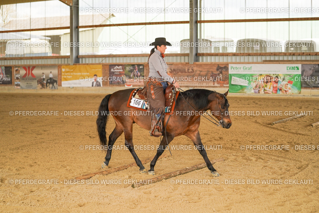 DSC04668 | Pferdegrafie