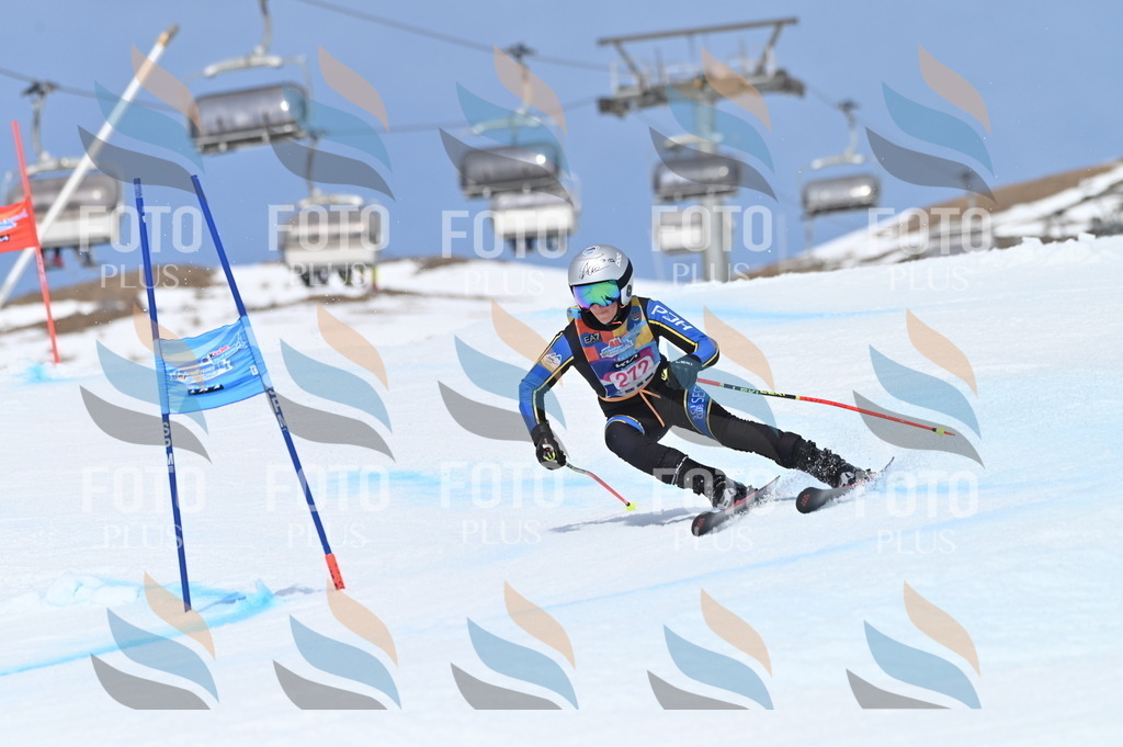 BGV_2291 | holidayphoto