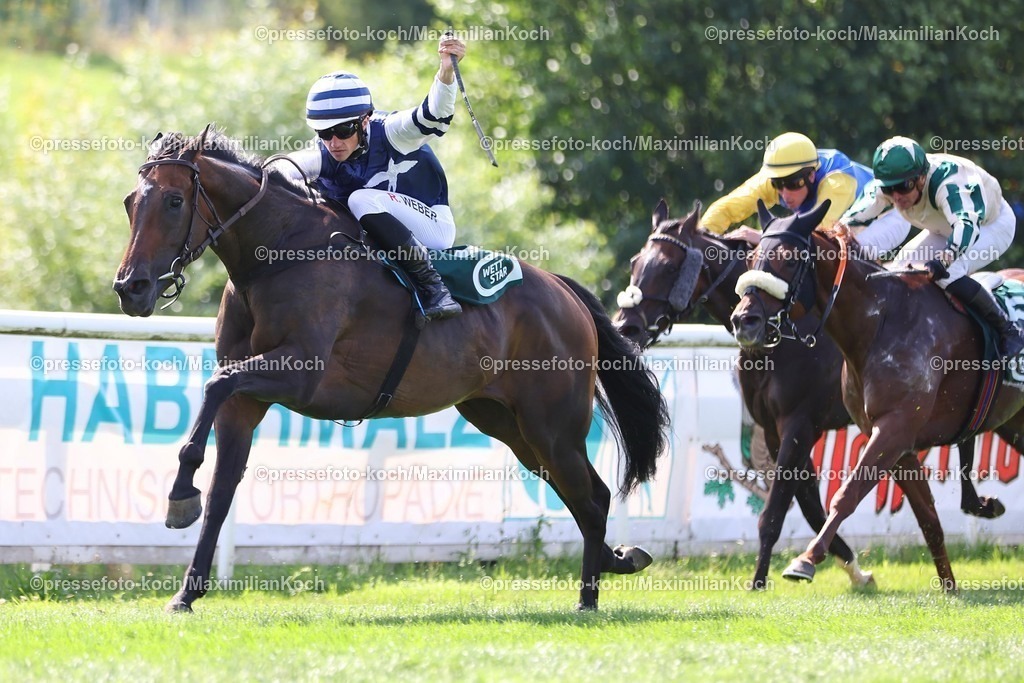 BH19072505005 | My Lady Dabandy siegt unter Robin Weber am 19.07.2025 Renntag in Bad Harzburg. Copyright by Marc Ruehl - Veroeffentlichung nur gegen Honorar (zzgl.MwSt), Namensnennung und Beleg, Bank Routing Number: BIC GENODED1PAF, Bank Account Number: IBAN DE04 3706 2600 1201 6180 17, Steuer-Nr.: 203/5266/0306, Ust_Id_Nr.: De 122081417, Zur Gaulshuette 29, 50181 Bedburg, Phone: +49-(0)2272-83351, www.marcruehl.com, info@marcruehl.com, No Model Release, Abtretung von Persoenlichkeitsrechten der abgebildeten Person/Personen liegen nicht vor. Speichern in Bilddatenbanken oder Vervielfaeltigung ist ohne schriftliche Genehmigung nicht gestattet.