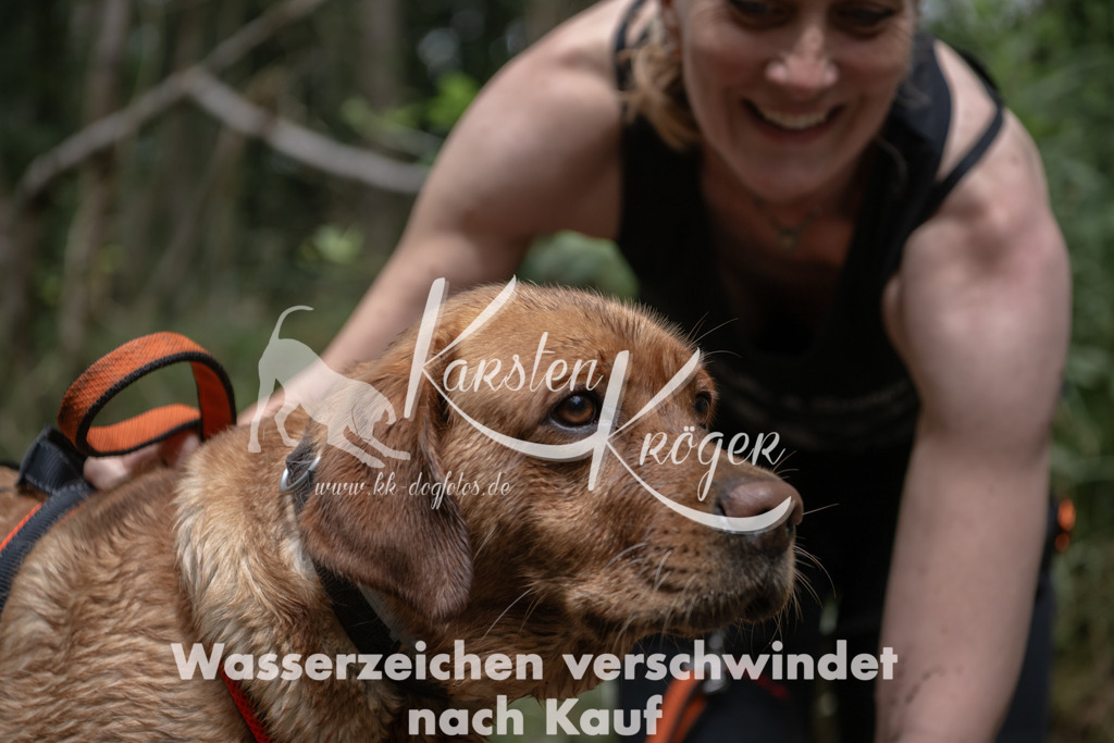 1334_ZZ94650 | kk-dogfotos