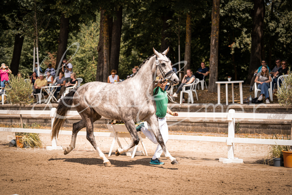 1.Fr00085 | Leoni Ertmer Photography - Realisiert mit Pictrs.com