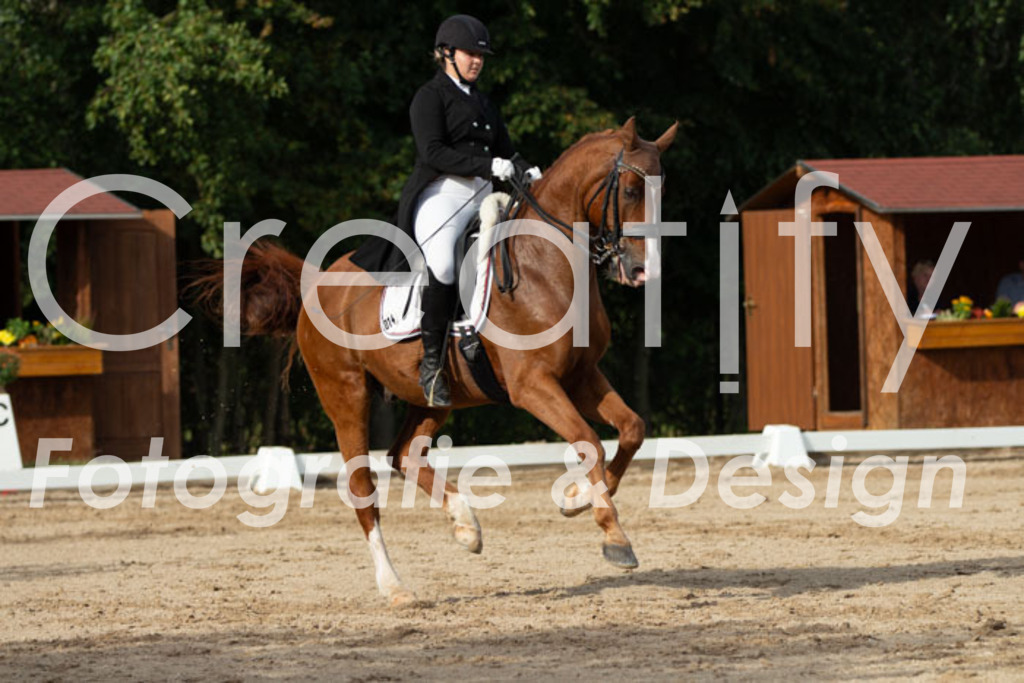 IMG_4618 | Creatify Fotografie