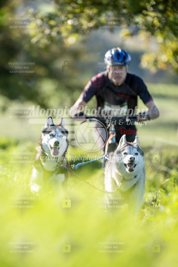 MompixPhotography_20TSB_E3_DS2-47 | PayLife