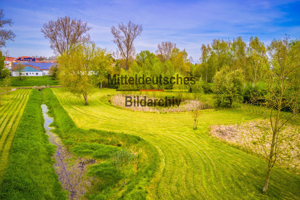 Eichenbarleben Park-0035 | Park Eichenbarleben - Realisiert mit Pictrs.com