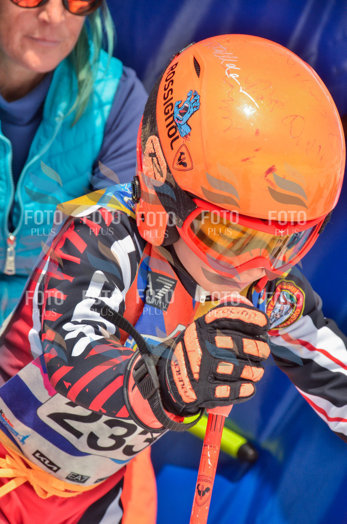 _ELE7331 | holidayphoto