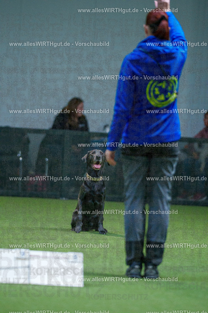 7R502458 | Professionelle Tierfotografie in Mönchengladbach von Daniel Wirth (allesWIRTHgut). Liebevolle & natürliche Bilder von Hunden & Katzen für unvergessliche Erinnerungen.