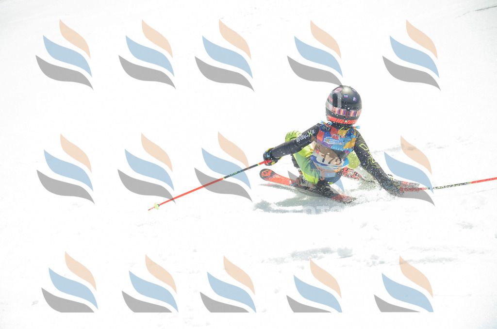 _ELE6546 | holidayphoto