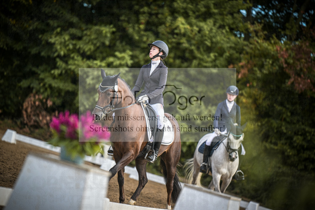 DOS_2441 | Entdecke hochwertige Reitturnierfotos von Foto Oger. Professionell, emotional und authentisch – jetzt Lieblingsmomente im Shop bestellen.Deutschlandweite Turnierfotografie. - Realisiert mit Pictrs.com