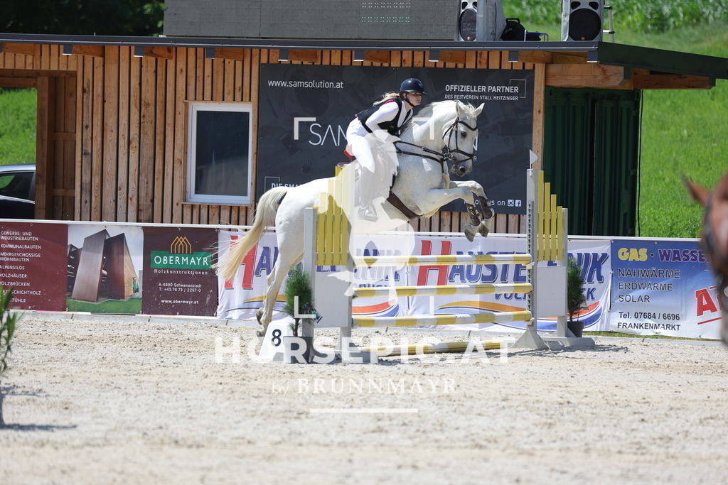 0P6A9343 | Willkommen bei Brunnmayr - Design & Fotografie – Ihrem Spezialisten für Reitturniere und Pferdeveranstaltungen in Oberösterreich, Salzburg und Bayern! Seit über 17 Jahren sind wir leidenschaftlich dabei.