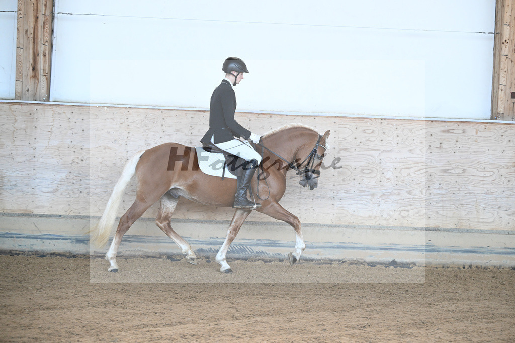 Kat-Nr. 7 Narcotic v. Nakuri_ZG Hackfurt u Weiser_43250444 | hf-fotografie - Realizzato con Pictrs.com