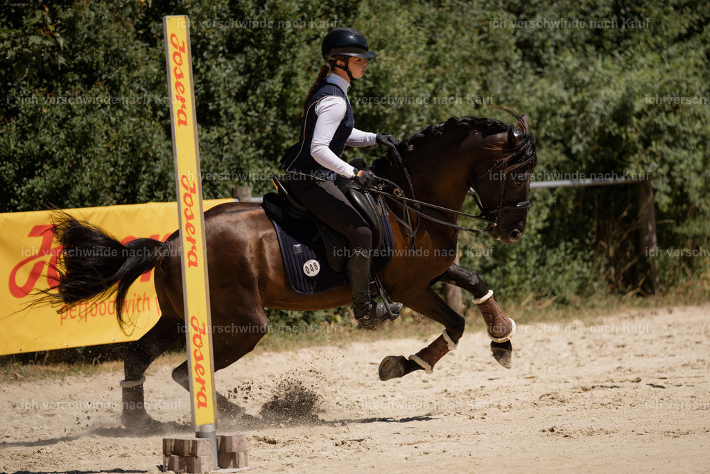 WM_SP_48_Stoibphotography_SO17680 | working equitationturnier fotograf videograf stoibphotography marixx film working equitation deutschland reitsport turnierfotografie eventfotografie equestrian events