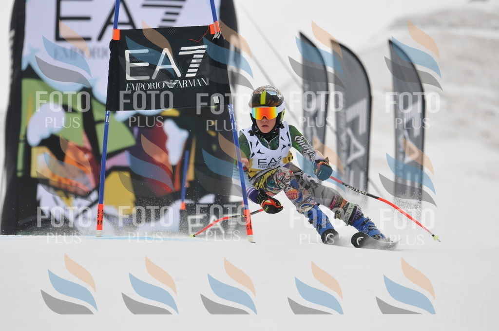 DSC_8447 | holidayphoto