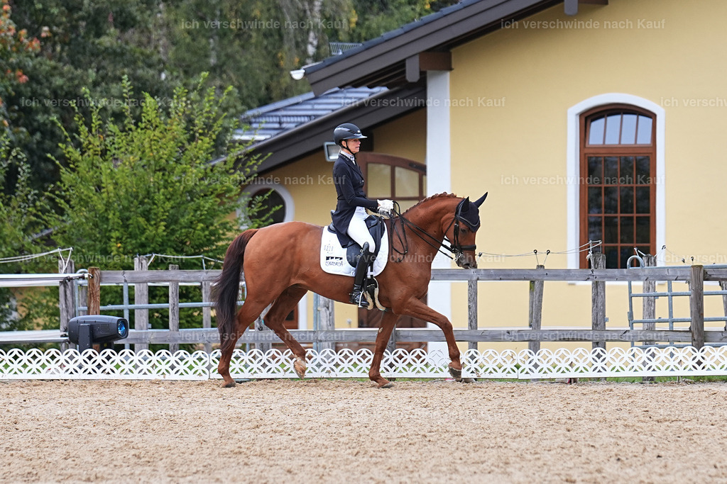 12-220-DRESSUR  S___  -Marixx-5219 | working equitationturnier fotograf videograf stoibphotography marixx film working equitation deutschland reitsport turnierfotografie eventfotografie equestrian events