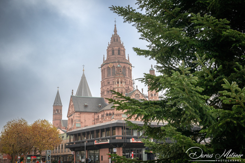 DSC_4246 | Fotografien, Fotos und Bilder aus Mainz, Frankfurt, Wiesbaden und anderen Orten auf der Welt - Fotografiert von Darius Metzner