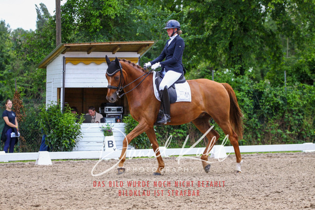 DKP41232 | Turnierfotos kaufen im Webshop von Daniel Kuhl Photography – entdecke professionelle Reitsportfotos aus Turnieren & Events. Hochwertige Turnierbilder online bestellen & sichern. Jetzt Fotos von Reitsportturnieren kaufen!